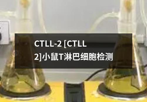 CTLL-2 [CTLL2]小鼠T淋巴细胞检测