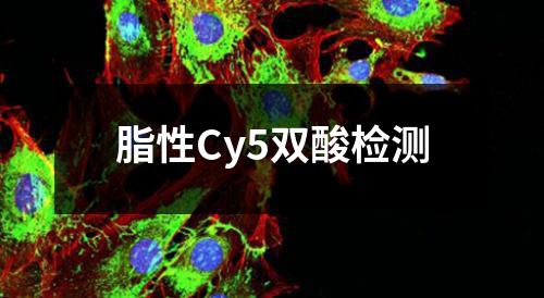 脂性Cy5双酸检测