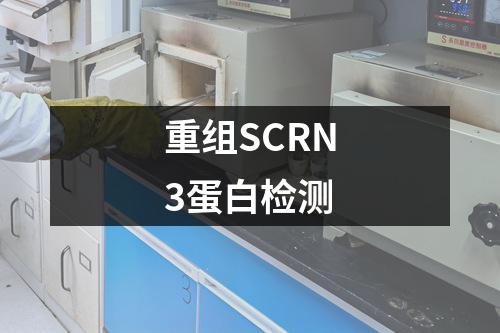 重组SCRN3蛋白检测