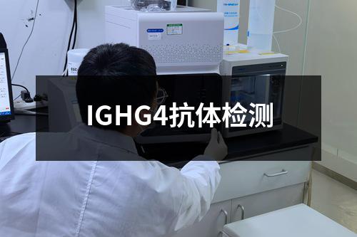 IGHG4抗体检测