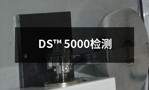 DS™ 5000检测