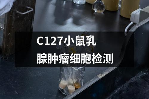 C127小鼠乳腺肿瘤细胞检测