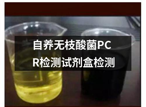 自养无枝酸菌PCR检测试剂盒检测