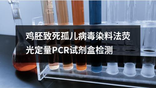 鸡胚致死孤儿病毒染料法荧光定量PCR试剂盒检测