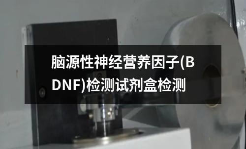 脑源性神经营养因子(BDNF)检测试剂盒检测