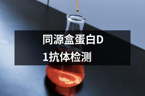 同源盒蛋白D1抗体检测