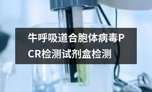 牛呼吸道合胞体病毒PCR检测试剂盒检测