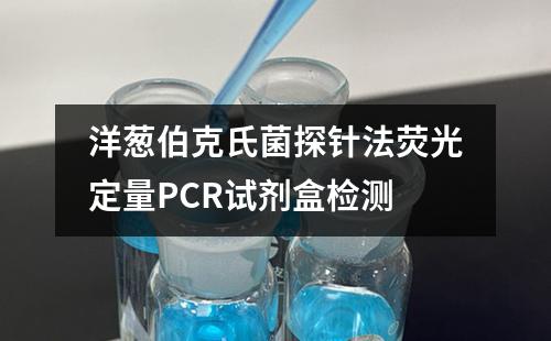 洋葱伯克氏菌探针法荧光定量PCR试剂盒检测