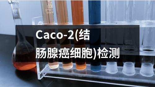 Caco-2(结肠腺癌细胞)检测