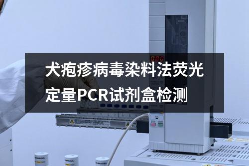 犬疱疹病毒染料法荧光定量PCR试剂盒检测