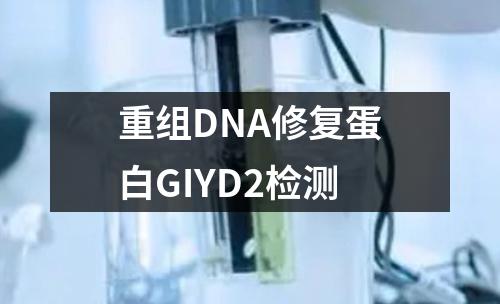 重组DNA修复蛋白GIYD2检测