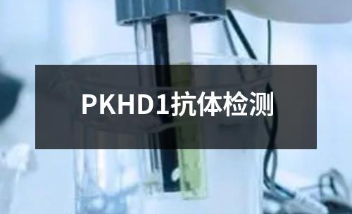 PKHD1抗体检测