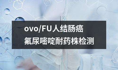 ovo/FU人结肠癌氟尿嘧啶耐药株检测