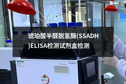 琥珀酸半醛脱氢酶(SSADH)ELISA检测试剂盒检测