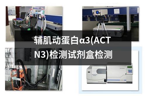 辅肌动蛋白α3(ACTN3)检测试剂盒检测