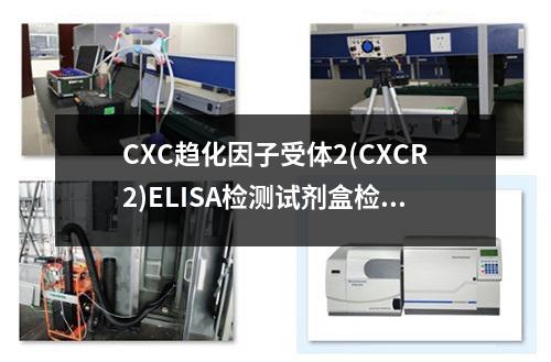 CXC趋化因子受体2(CXCR2)ELISA检测试剂盒检测