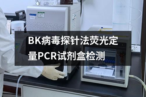 BK病毒探针法荧光定量PCR试剂盒检测