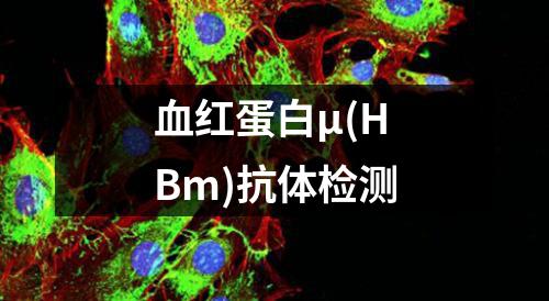 血红蛋白μ(HBm)抗体检测