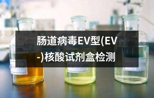 肠道病毒EV型(EV-)核酸试剂盒检测