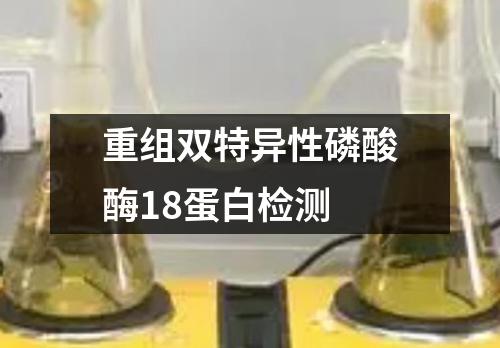 重组双特异性磷酸酶18蛋白检测