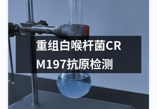 重组白喉杆菌CRM197抗原检测