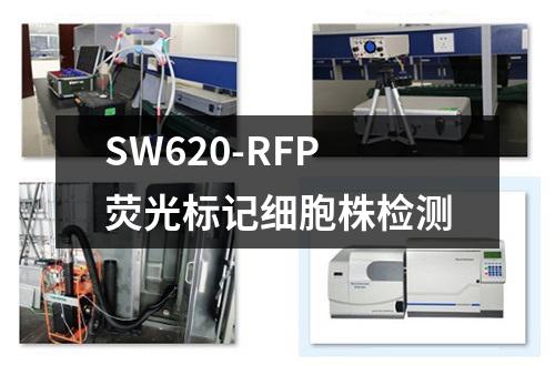 SW620-RFP荧光标记细胞株检测