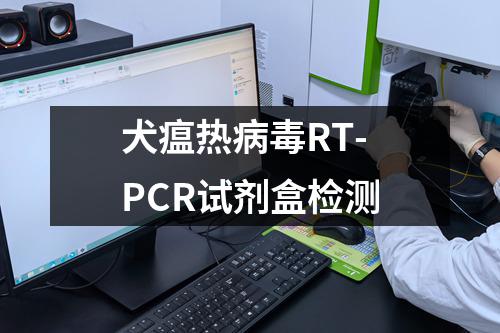 犬瘟热病毒RT-PCR试剂盒检测