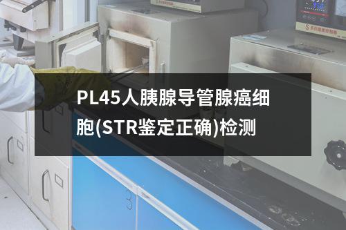 PL45人胰腺导管腺癌细胞(STR鉴定正确)检测