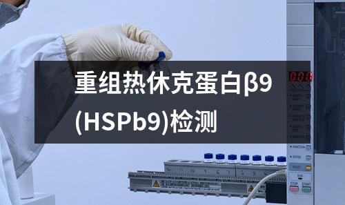 重组热休克蛋白β9(HSPb9)检测