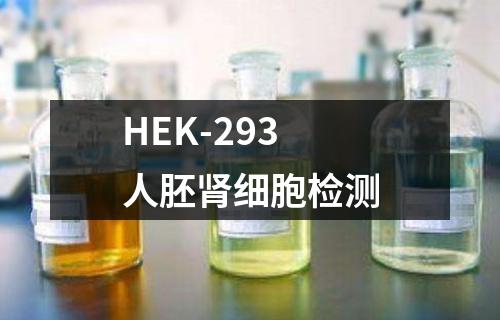 HEK-293人胚肾细胞检测