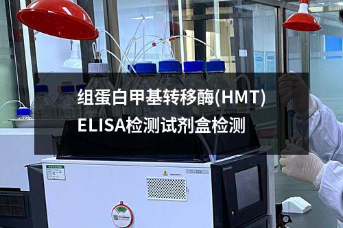 组蛋白甲基转移酶(HMT)ELISA检测试剂盒检测