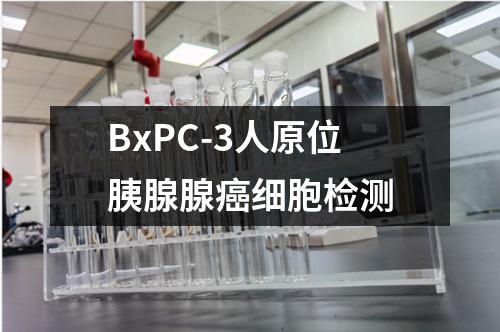 BxPC-3人原位胰腺腺癌细胞检测