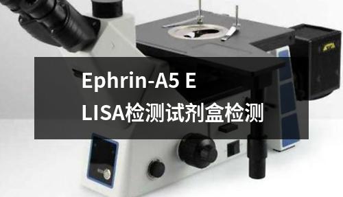 Ephrin-A5 ELISA检测试剂盒检测