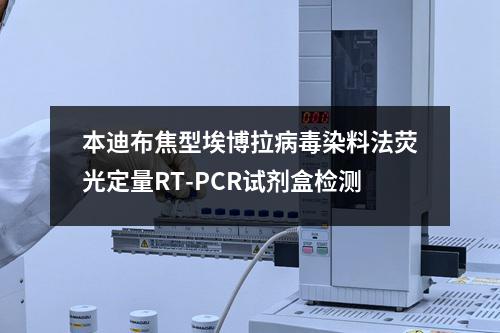 本迪布焦型埃博拉病毒染料法荧光定量RT-PCR试剂盒检测