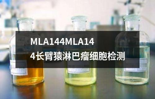 MLA144MLA144长臂猿淋巴瘤细胞检测