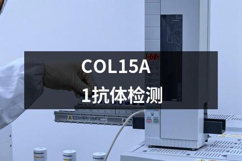 COL15A1抗体检测