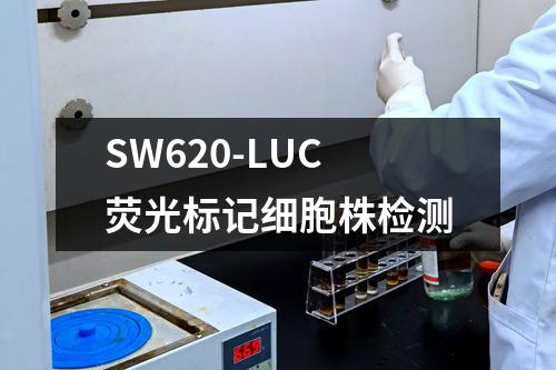 SW620-LUC荧光标记细胞株检测