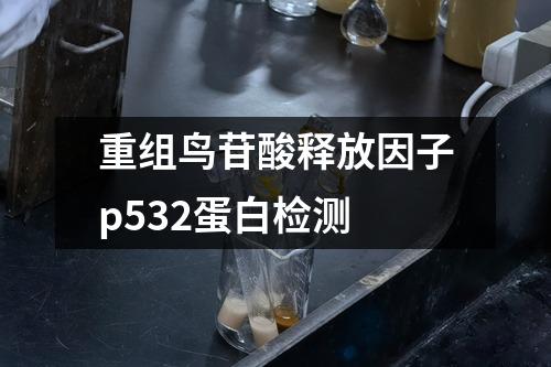 重组鸟苷酸释放因子p532蛋白检测