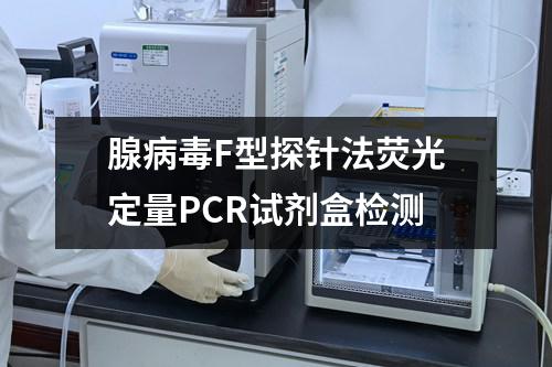 腺病毒F型探针法荧光定量PCR试剂盒检测