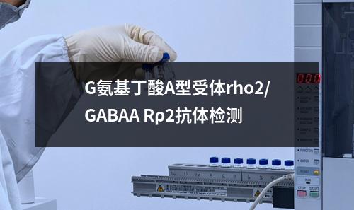 G氨基丁酸A型受体rho2/GABAA Rρ2抗体检测