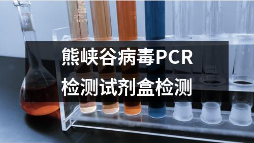 熊峡谷病毒PCR检测试剂盒检测