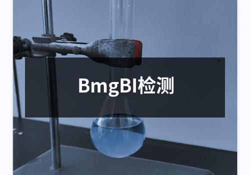 BmgBI检测