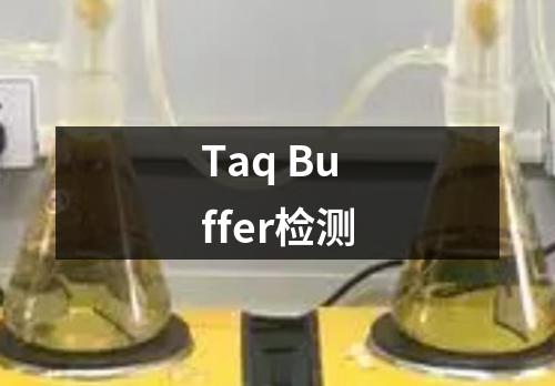 Taq Buffer检测