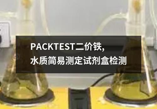 PACKTEST二价铁,水质简易测定试剂盒检测