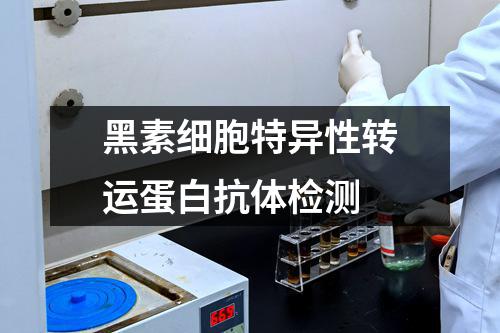 黑素细胞特异性转运蛋白抗体检测