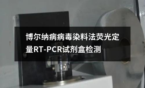 博尔纳病病毒染料法荧光定量RT-PCR试剂盒检测