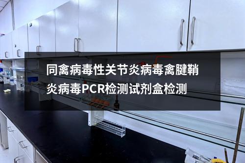 同禽病毒性关节炎病毒禽腱鞘炎病毒PCR检测试剂盒检测