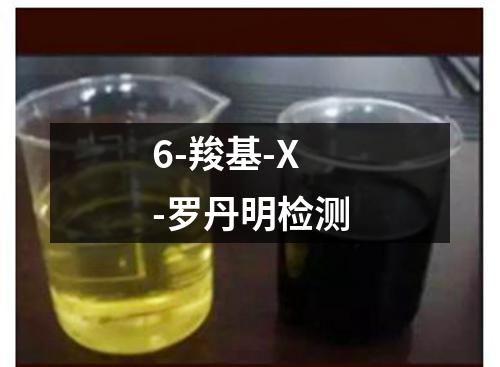 6-羧基-X-罗丹明检测