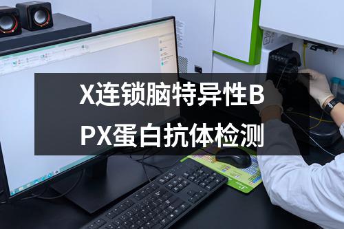 X连锁脑特异性BPX蛋白抗体检测