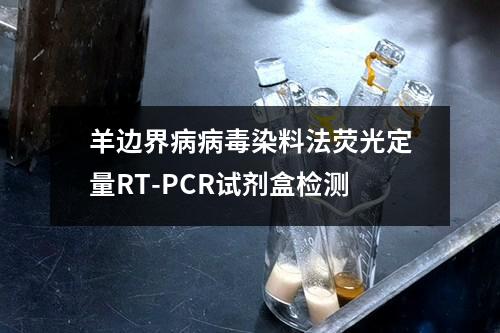 羊边界病病毒染料法荧光定量RT-PCR试剂盒检测